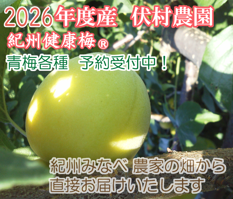 青梅各種予約2026